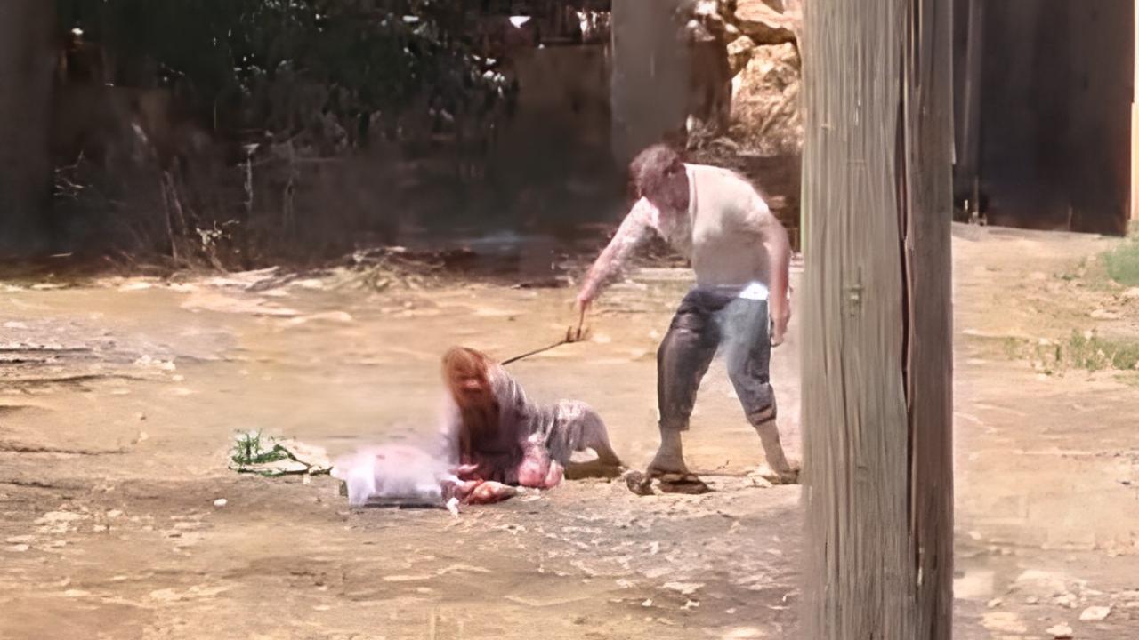 Urfa'da 85 yaşındaki annesini dövdü: O anlar kamerada!
