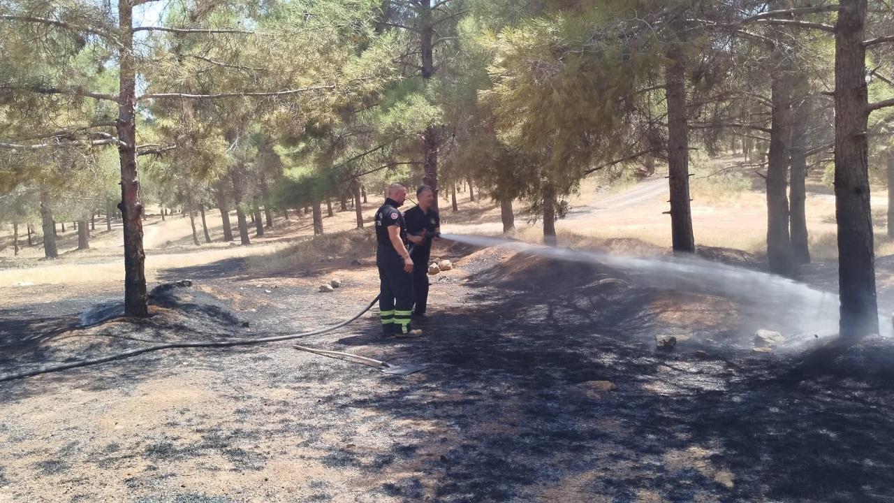 Urfa’da korkutan orman yangını!