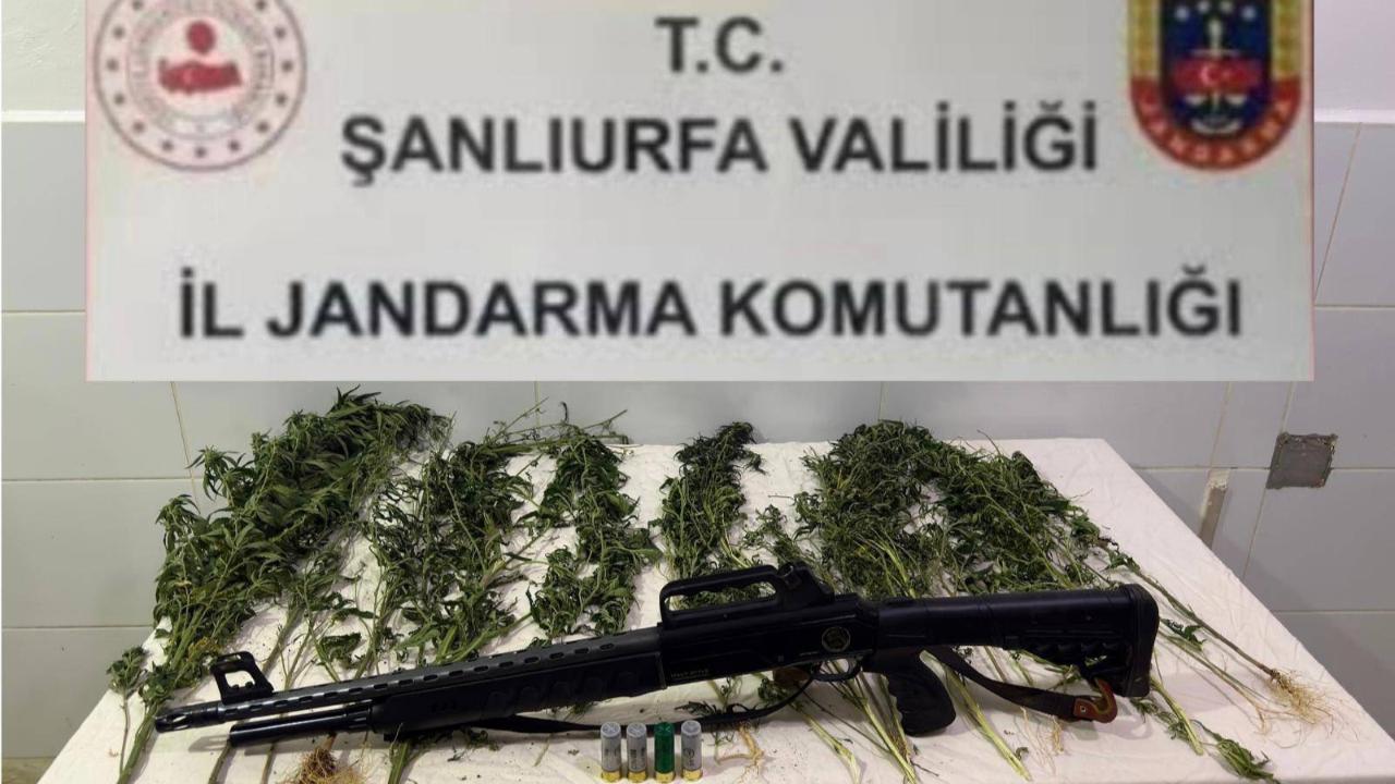 Urfa'da zehir tacirlerine operasyon!