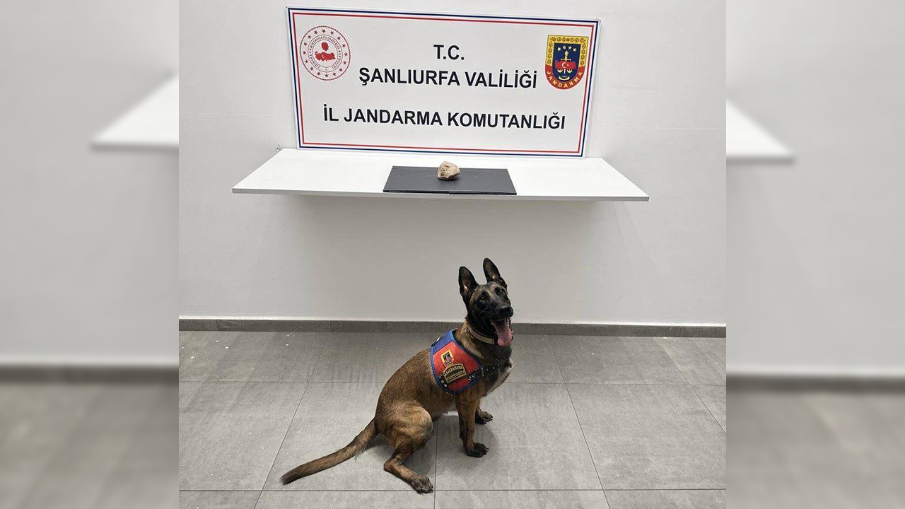 Urfa'da zehir tacirlerine ağır darbe!