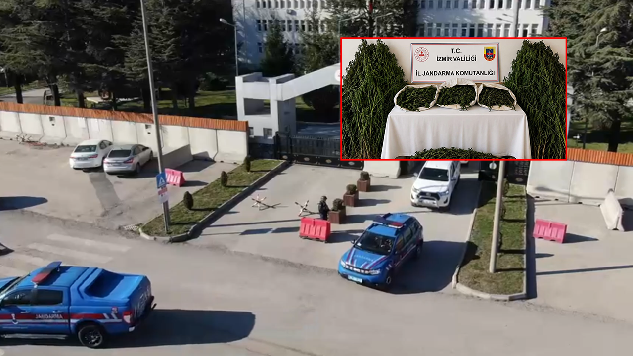 Zehir tacirlerine dev operasyon! Onlarca şüpheli yakalandı!