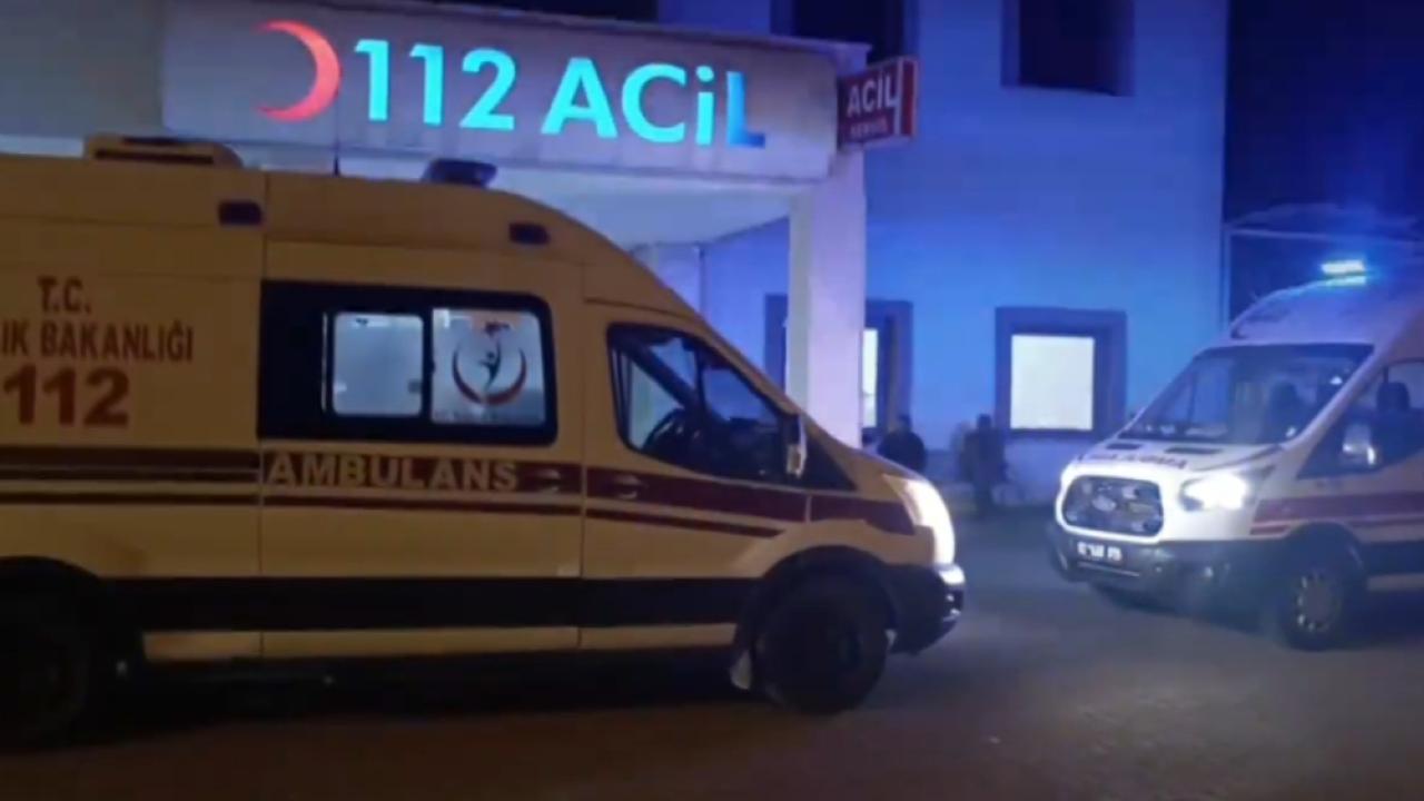 Fıstık bahçesine girdi: Hastanelik oldu!