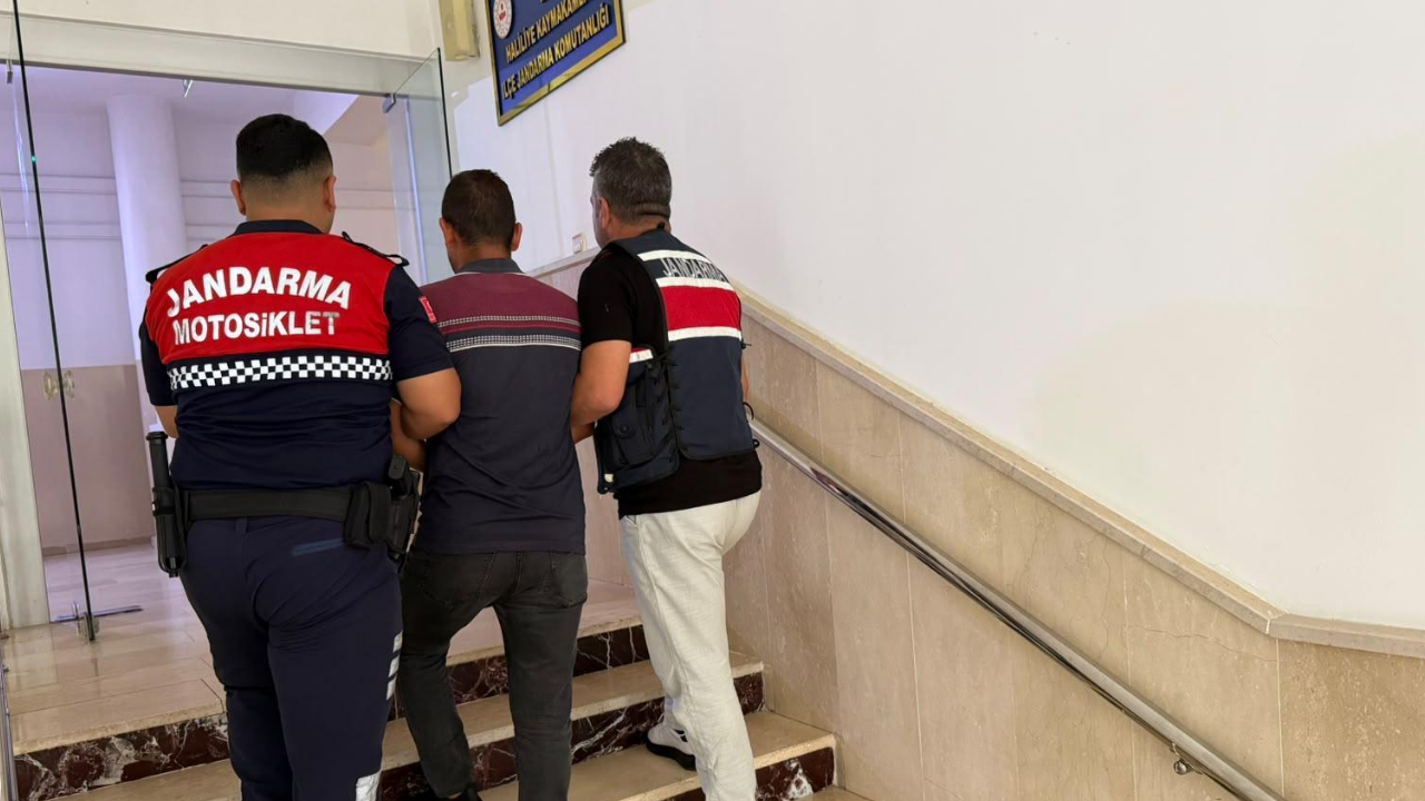Şanlıurfa’da dolandırıcı jandarmadan kaçamadı