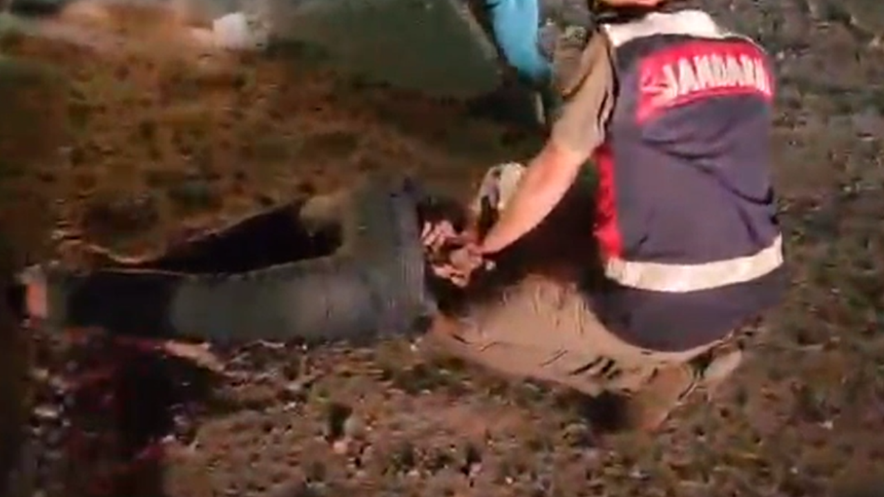 Şanlıurfa’da uyuşturucu operasyonu: 3 kişi gözaltına alındı
