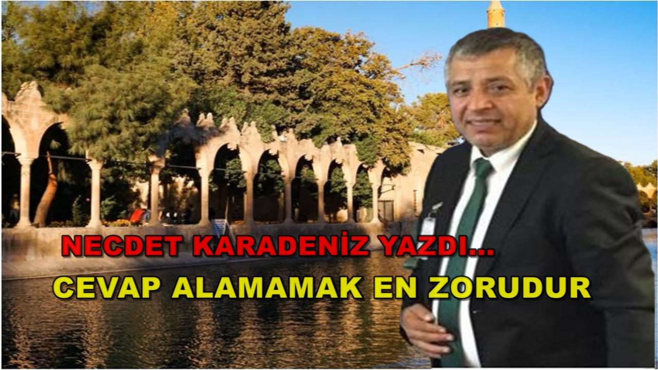 Cevap Alamamak En Zorudur