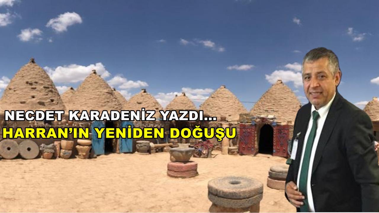 Harran’ın Yeniden Doğuşu