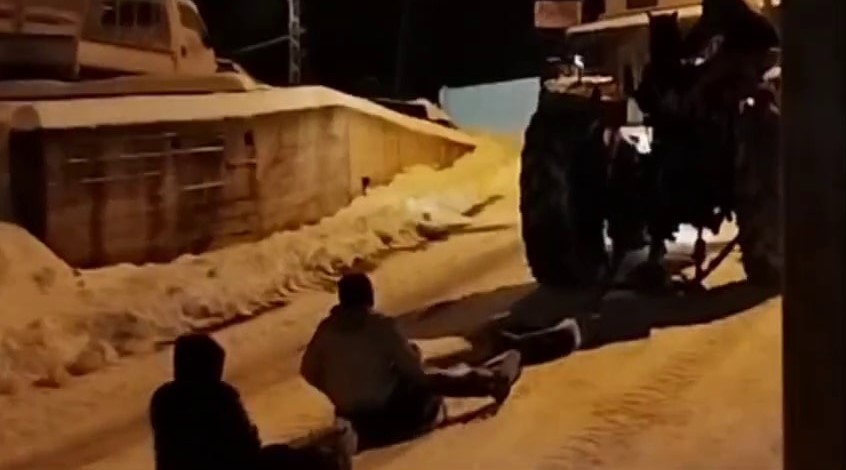 Sibirya Kurdu, Vatandaşlara Kızak Keyfi Yaşattı.