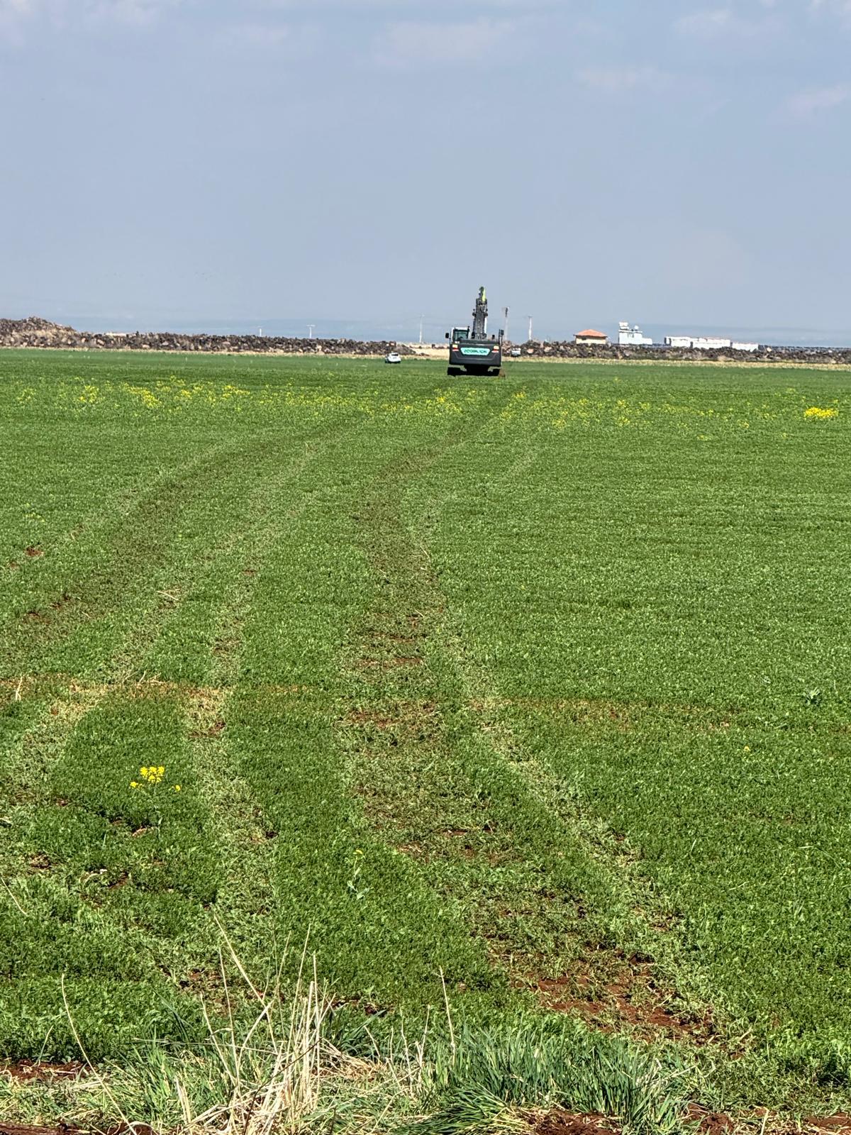 Siverek'te Izinsiz Yol Açma Gerginliği