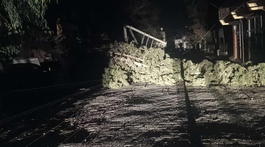 Şiddetli Fırtına Birecik’te Hayatı Felç Etti