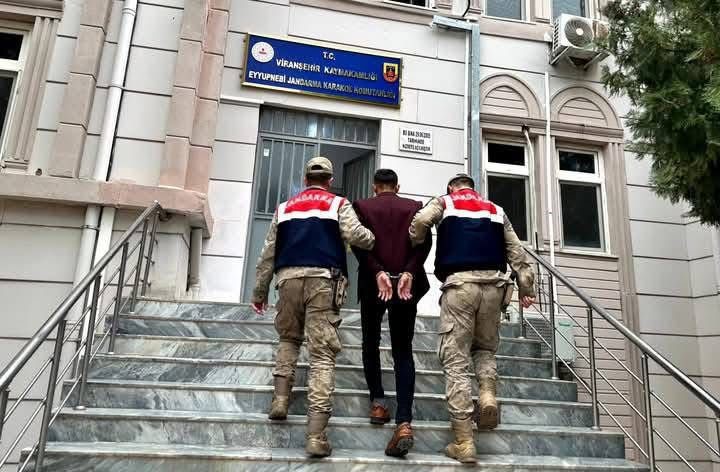 Viranşehir'deki Cinayetin Zanlısı Jandarmaya Yakalandı