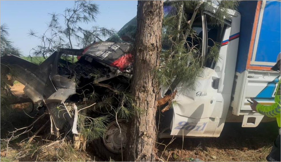 Ceylanpınar’da Kamyonet Ağaca Çarptı: 1 Yaralı