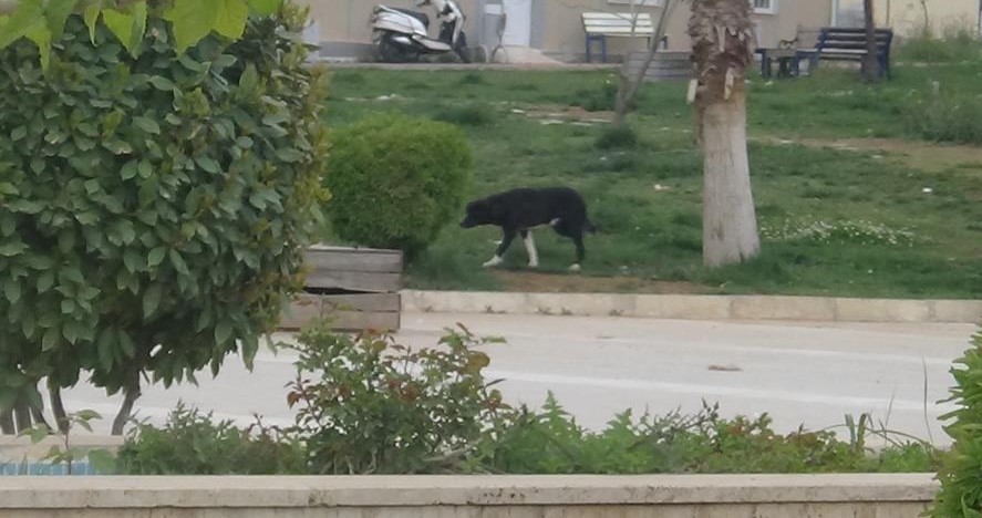 Öğrenciler İsyanda: Bugün Sevda, Yarın Biz!