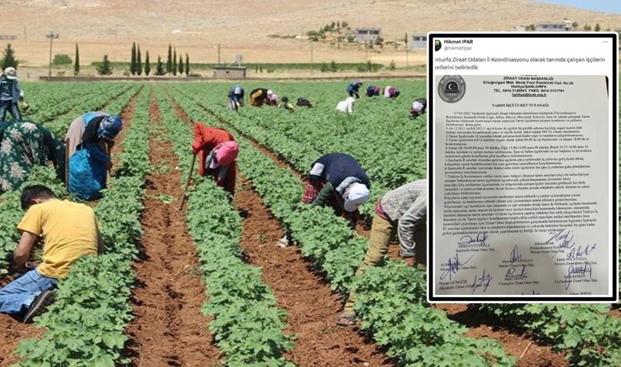 Tarım İşçilerine Yeni Ücret Düzenlemesi Yapıldı
