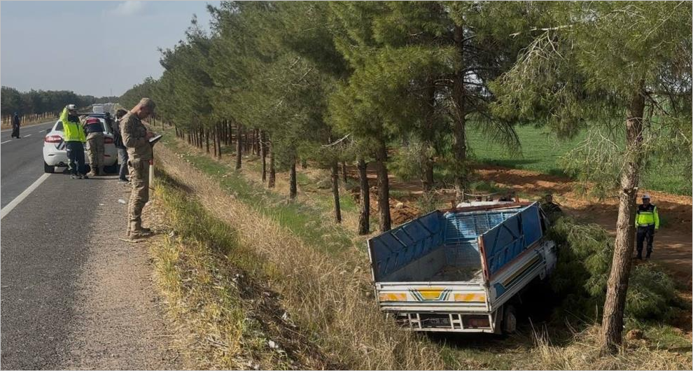 Ceylanpınar’da Kamyonet Ağaca Çarptı: 1 Yaralı