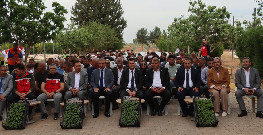 Urfa Topraklarında Ata Tohumu Yeniden Yeşeriyor!