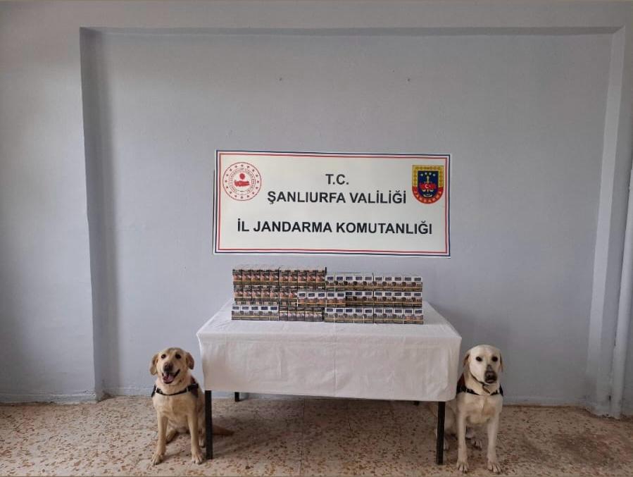 Şanlıurfa'da Kaçakçılara Geçit Yok!