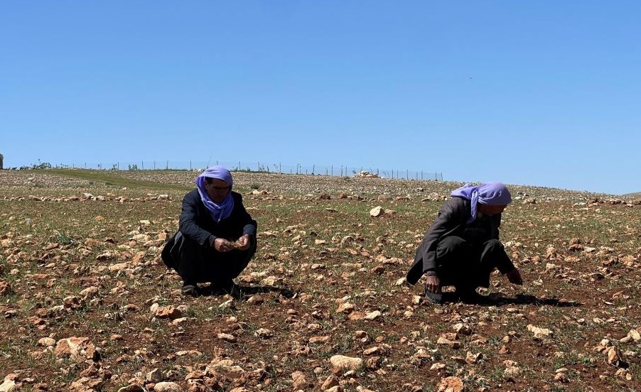 Şanlıurfa’da Kuraklık Alarmı!