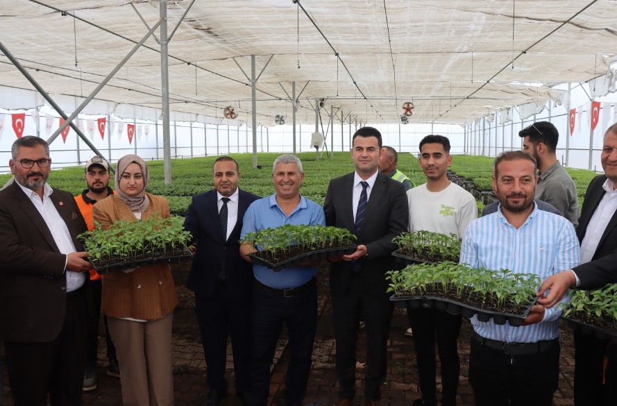 Urfa Topraklarında Ata Tohumu Yeniden Yeşeriyor!