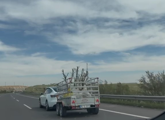 Tesla ve Fidan Yüklü Römork Aynı Karede