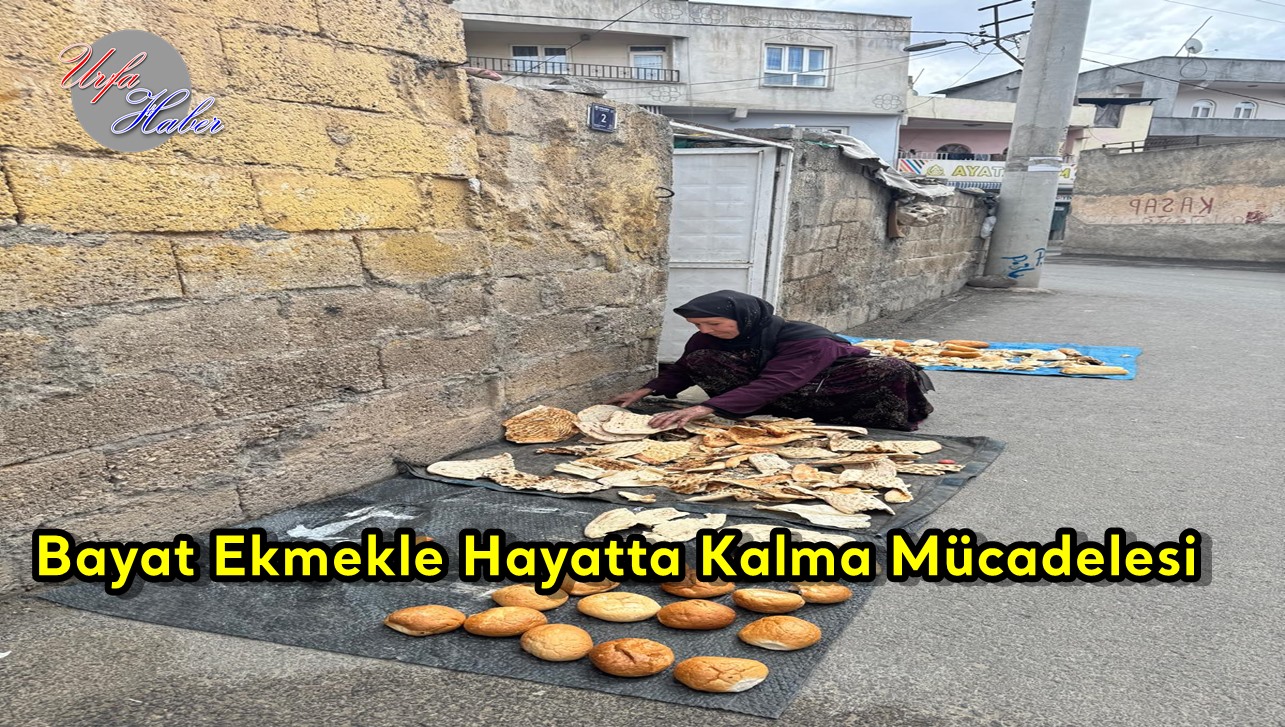 Bayat Ekmeğin Ardındaki Hayat