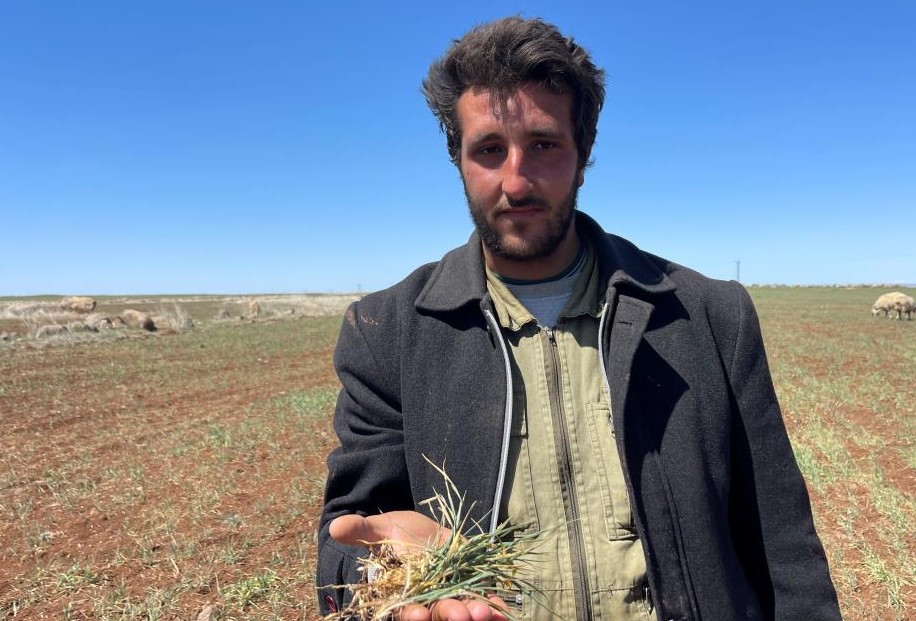 Şanlıurfa’da Kuraklık Alarmı!
