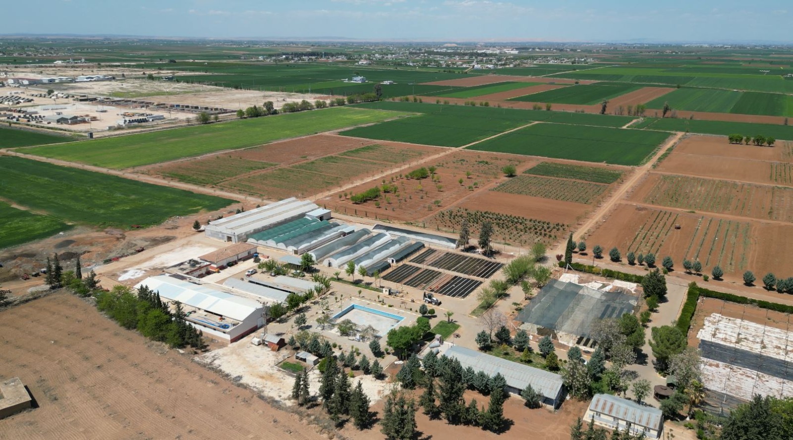 Urfa’nın Çiçekleri Artık Kendi Seralarından Çıkıyor