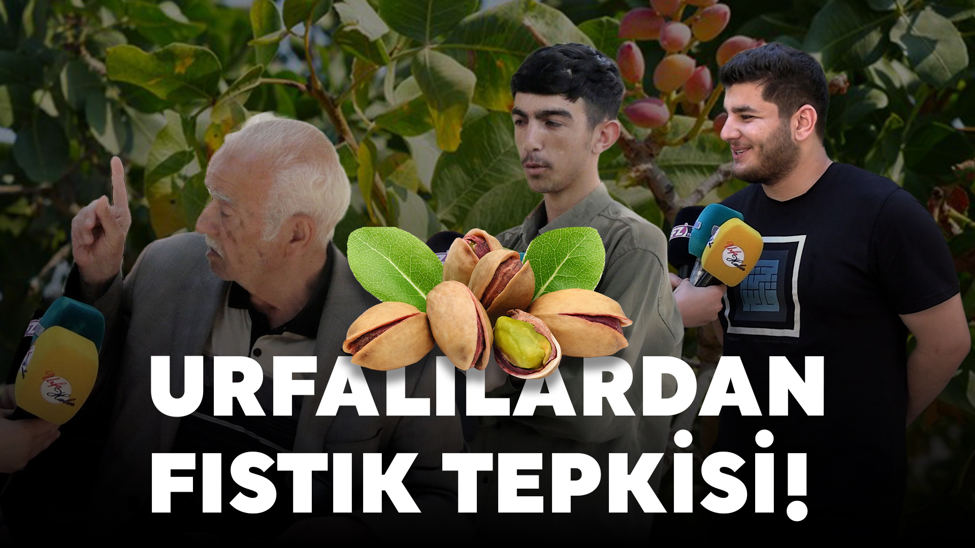 Urfalılardan Fıstık Tepkisi!