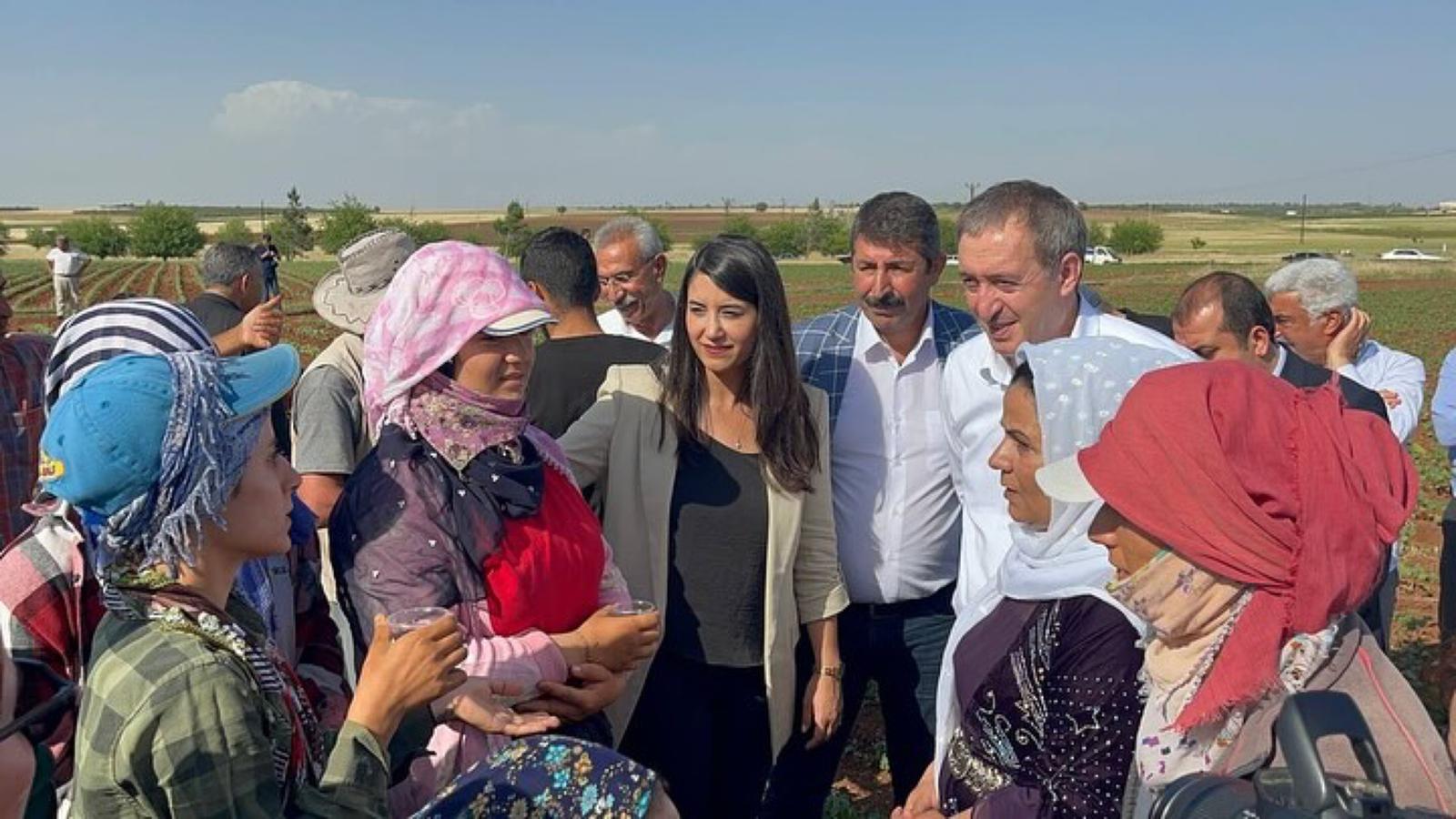 Urfa’da Çiftçiler Üretiyor Ama Kazanamıyor!