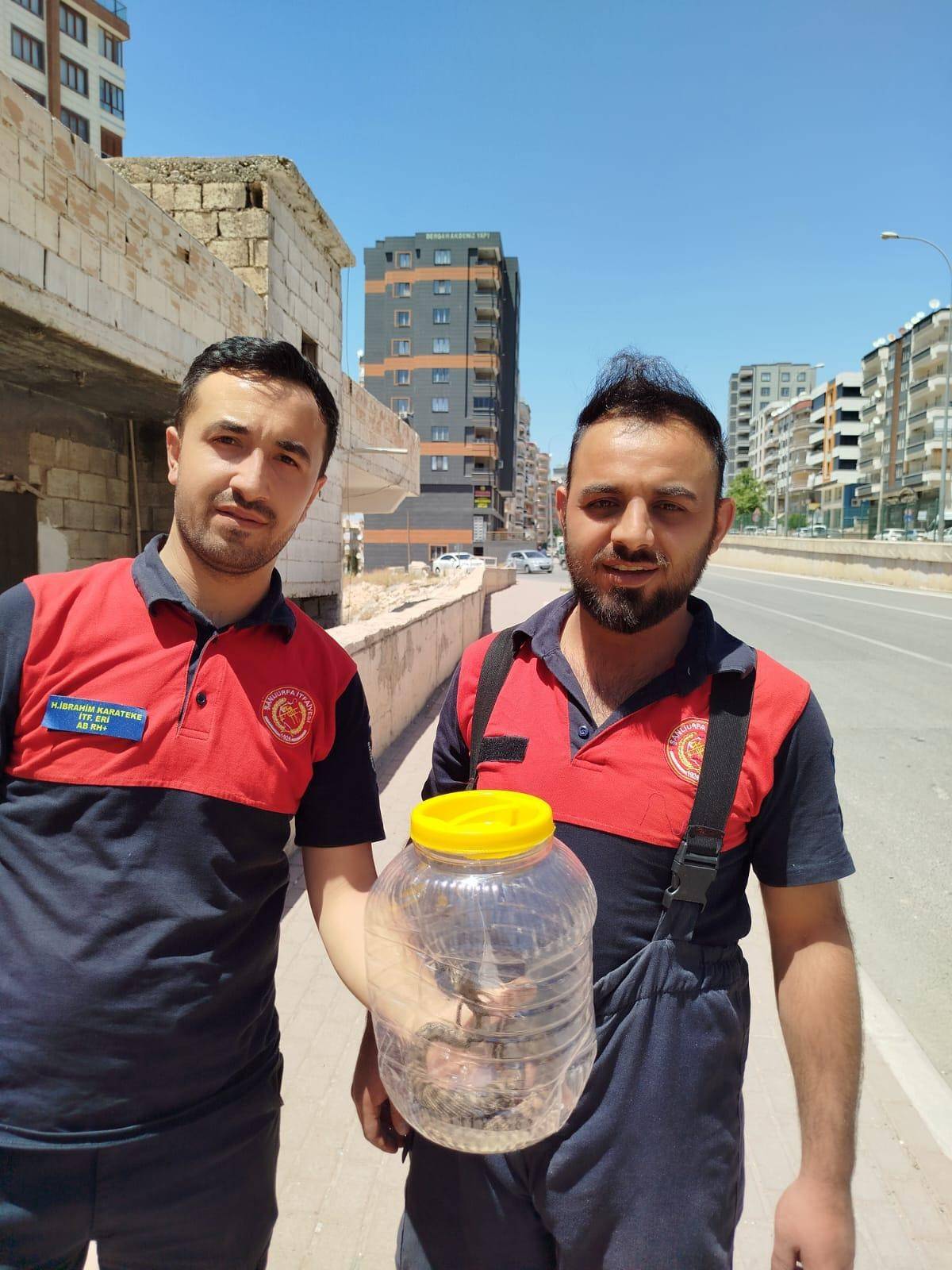 Şanlıurfa’da Mutfakta Yılan Paniği!