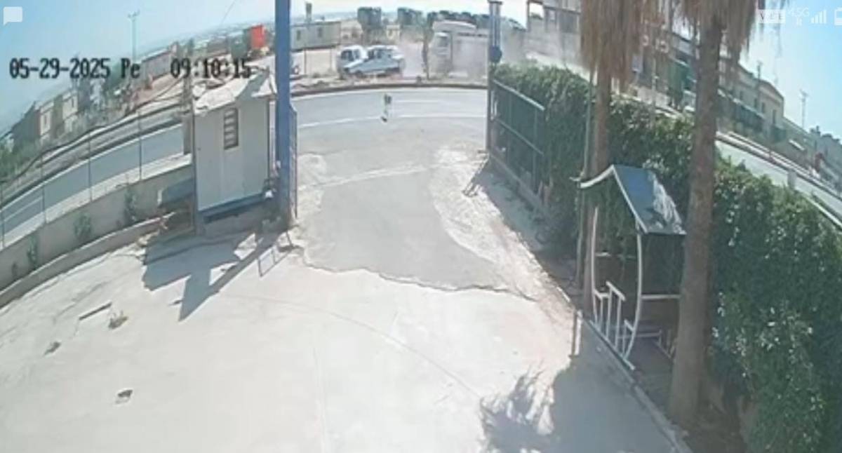 Şanlıurfa'da sokak köpeği zincirleme kazaya neden oldu !