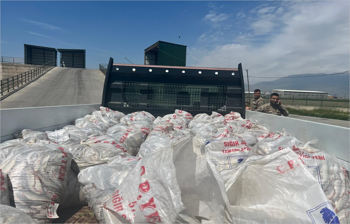 Kaçak Yollar İle Taşınan 2 Ton İnci Kefali Ele Geçirildi !