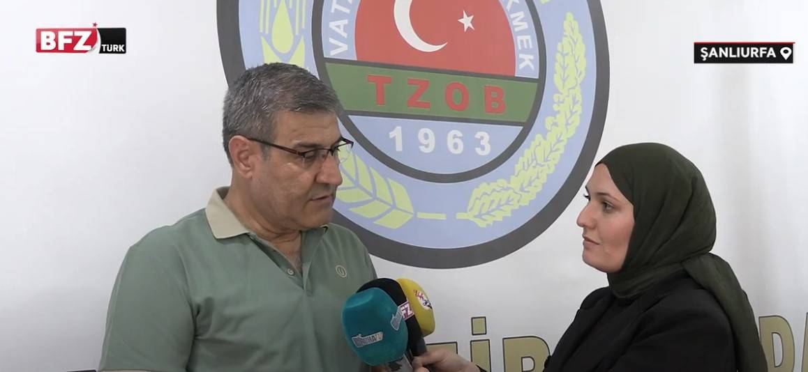 Kuraklık Şanlıurfa’yı Vurdu: Tarımda Büyük Kayıp!