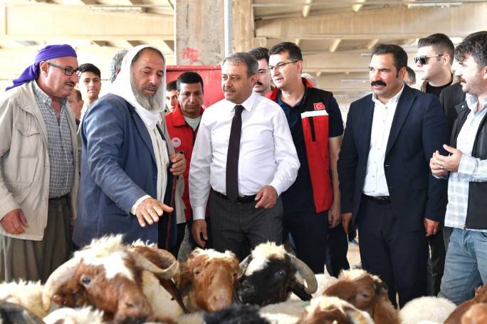 Şanlıurfa’da Kurban Satış Yerleri Açıklandı