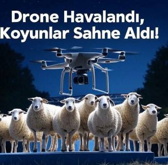 TİGEM’de Koyunlardan Nefes Kesen ‘Dünya Dönüyor’ Şovu