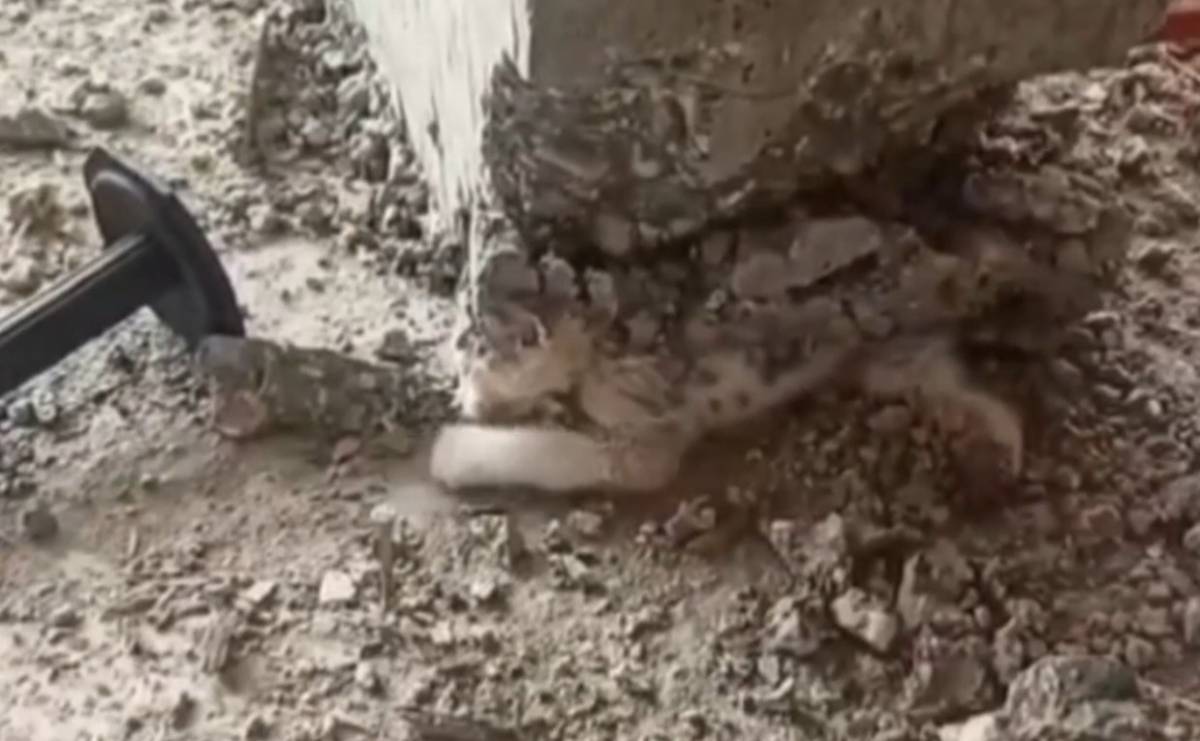 Tahta Kalıptan Gelen Sessiz Çığlık!