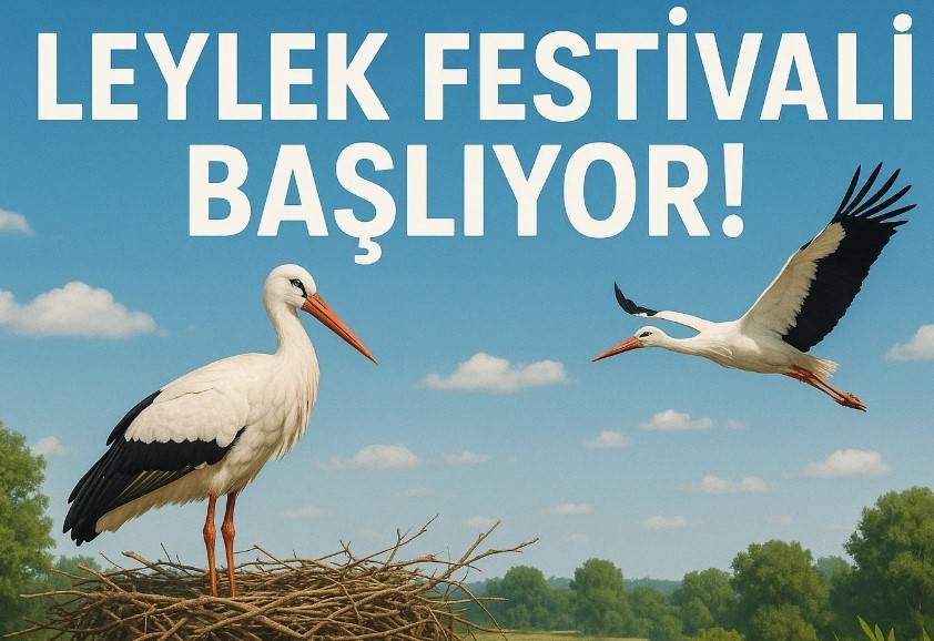 Leylek Festivali Başlıyor!