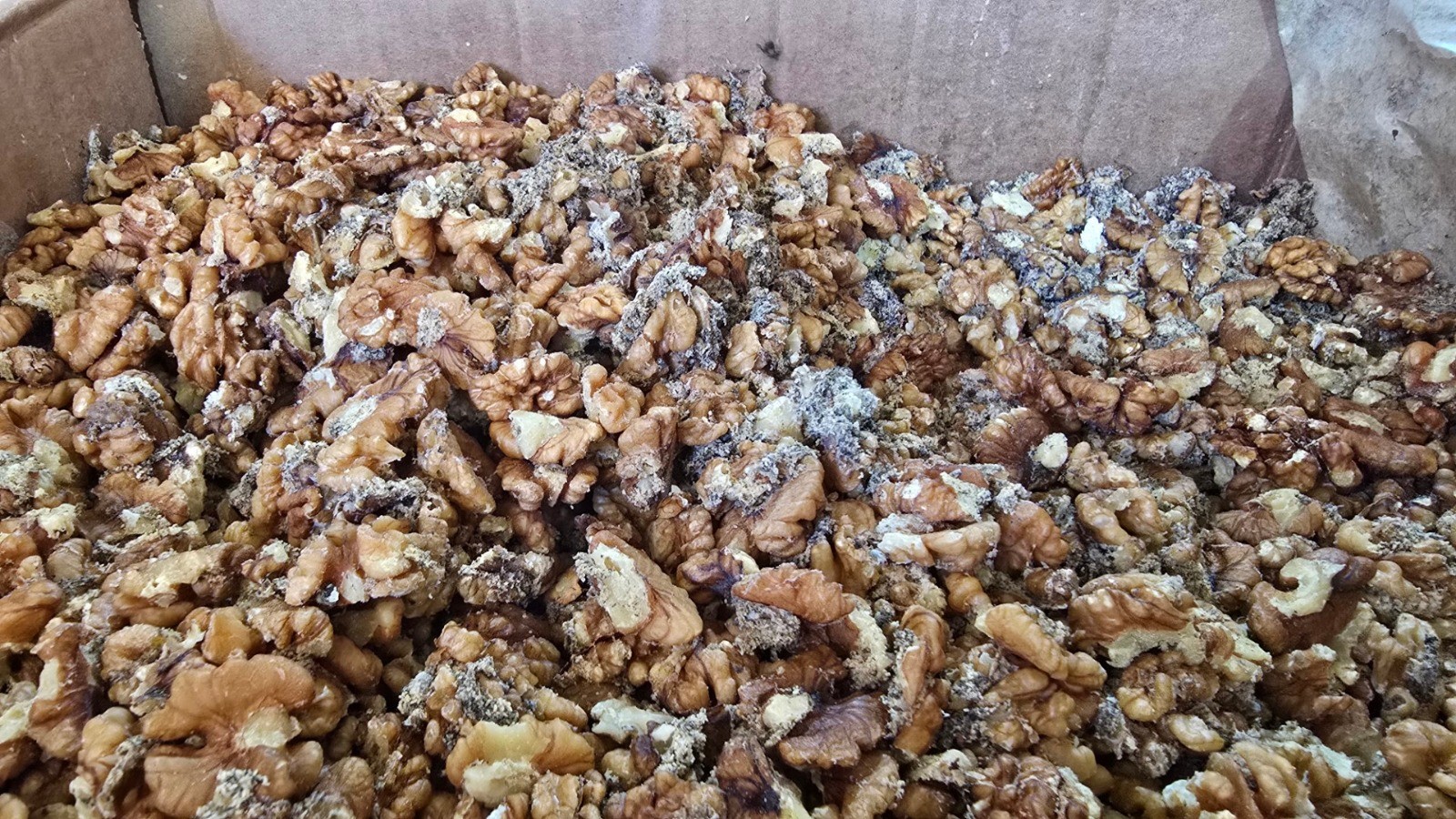 Yörem Baklavaları’ndan Geri Vites!