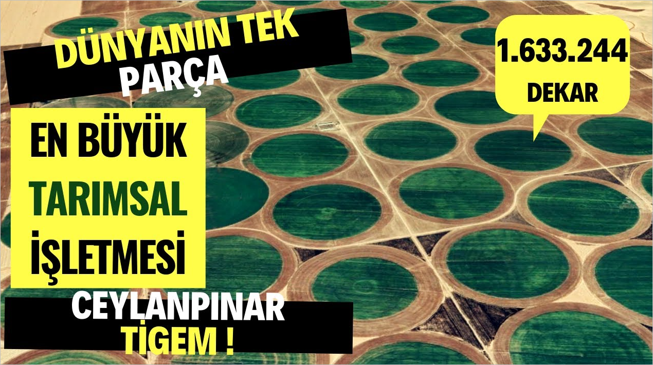 Urfalılardan Fıstık Tepkisi!
