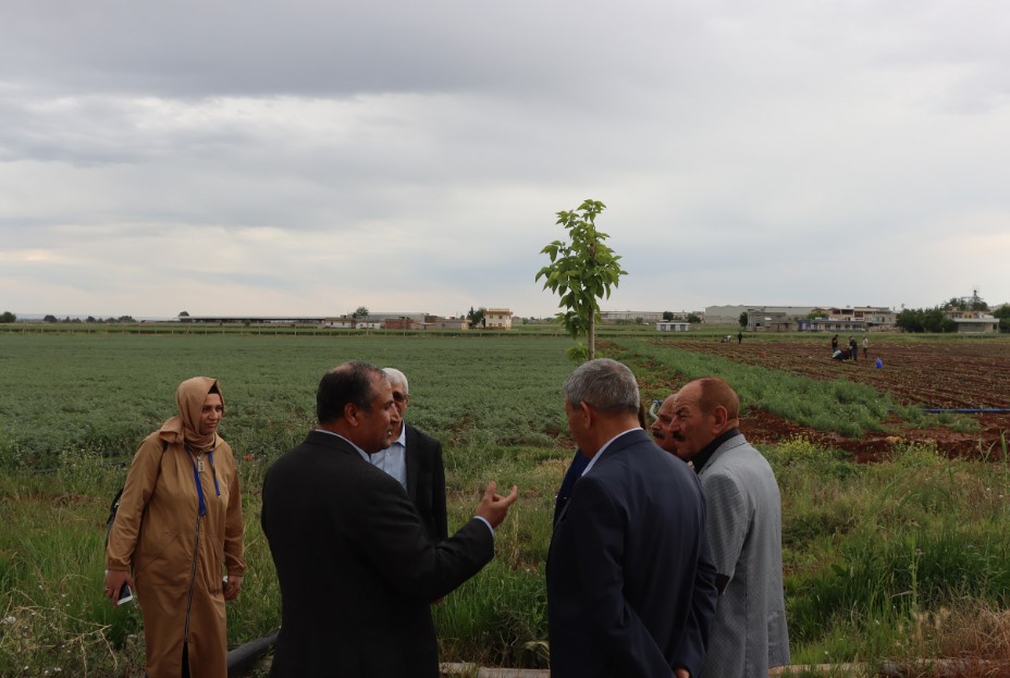 Şanlıurfa’da Çiftçiye Doğru Gübreleme Rehberi