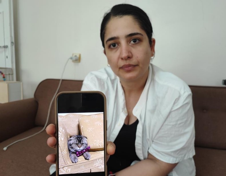 Kedisi Kaybolan Kadından Şok İtiraf!