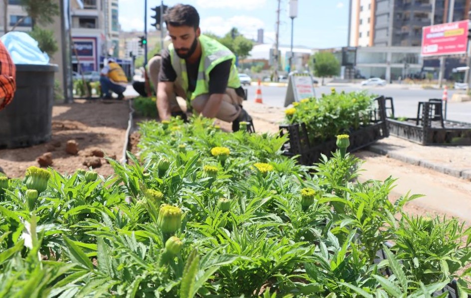 Seradan Sokaklara: Urfa’ya Renk Veren Üretim!