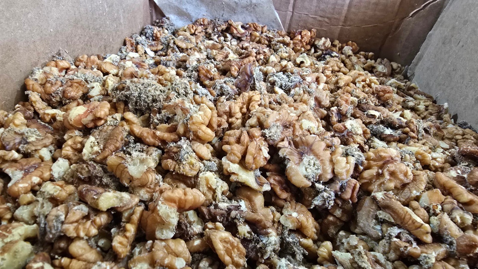 Yörem Baklavaları’ndan Geri Vites!