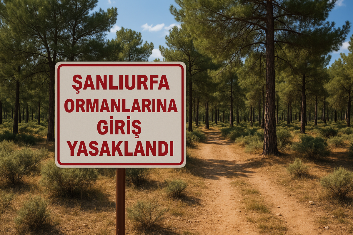 Şanlıurfa Ormanlarına Giriş Yasaklandı