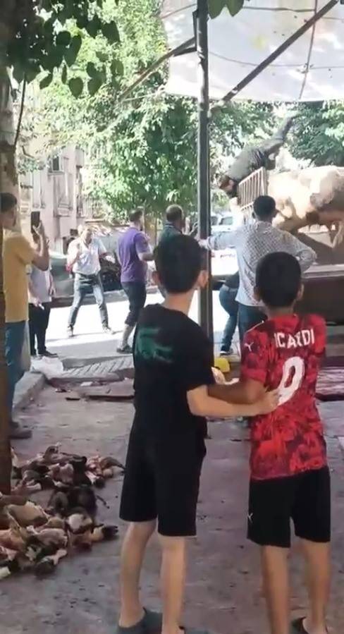 Şanlıurfa’da Kızgın Boğa Dehşeti: Kasap Ölümden Döndü