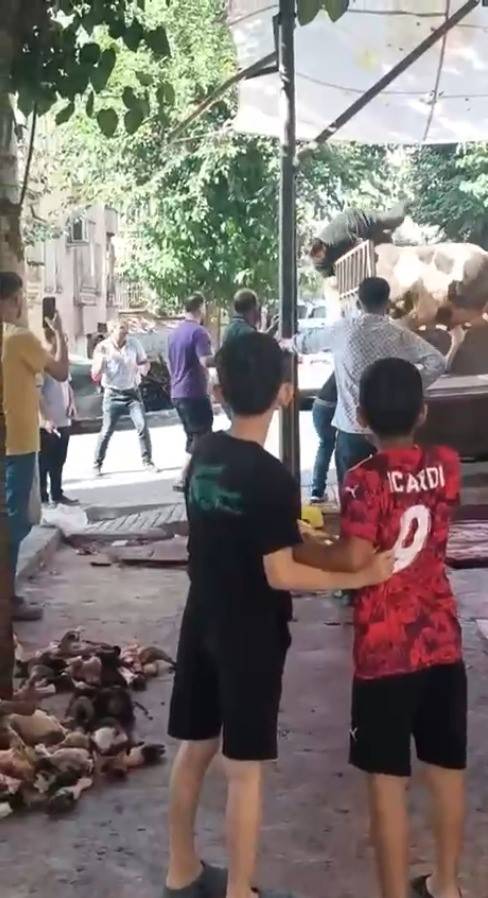 Şanlıurfa’da Kızgın Boğa Dehşeti: Kasap Ölümden Döndü