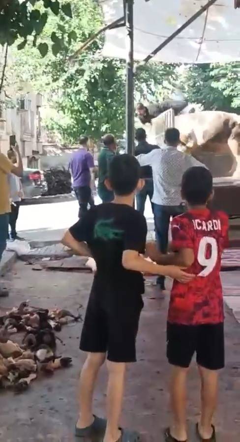 Şanlıurfa’da Kızgın Boğa Dehşeti: Kasap Ölümden Döndü
