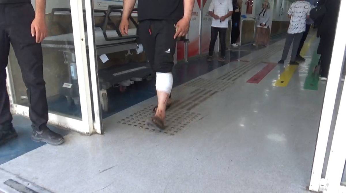 Şanlıurfa’da 176 Acemi Kasap Kendini Kesti!
