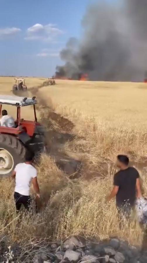 Viranşehir’de Buğday Tarlaları Kül Oldu!