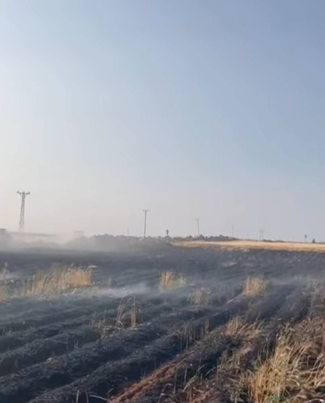 Viranşehir’de Buğday Tarlaları Kül Oldu!