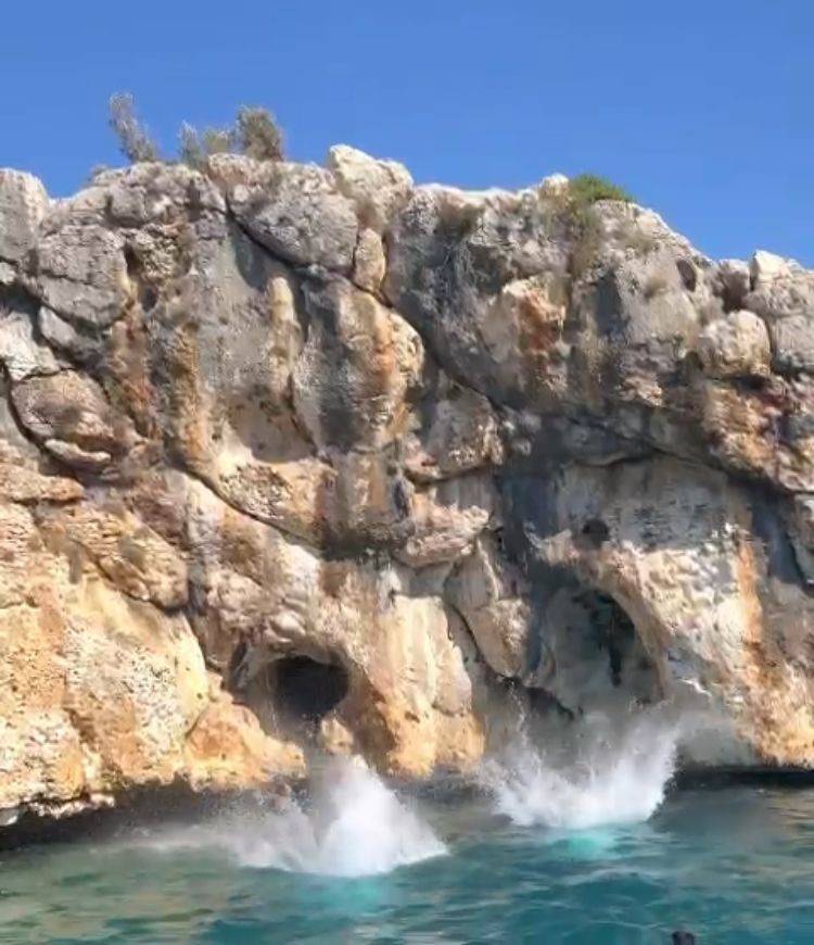 Tatilciler ,Girdikleri Mağarada Akdeniz Fokuyla Karşılaştı